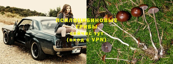 трава Нея