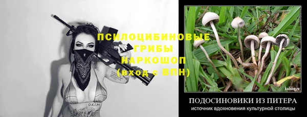 крисы Медвежьегорск