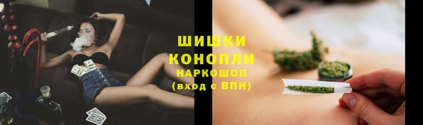крисы Медвежьегорск